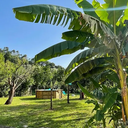 Casa Aia Sole With Pool, A/c, Garden, Barbecue Apartment
